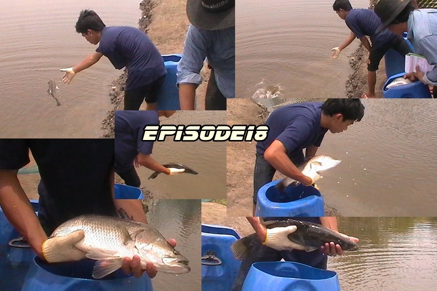up ครั้งที่2 Episode 18   เก๋า กะพง 19นี้