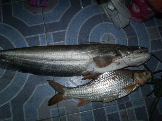 สะพานปรีดีย์กับ 1 ชั่วโมง แพ็คคู่