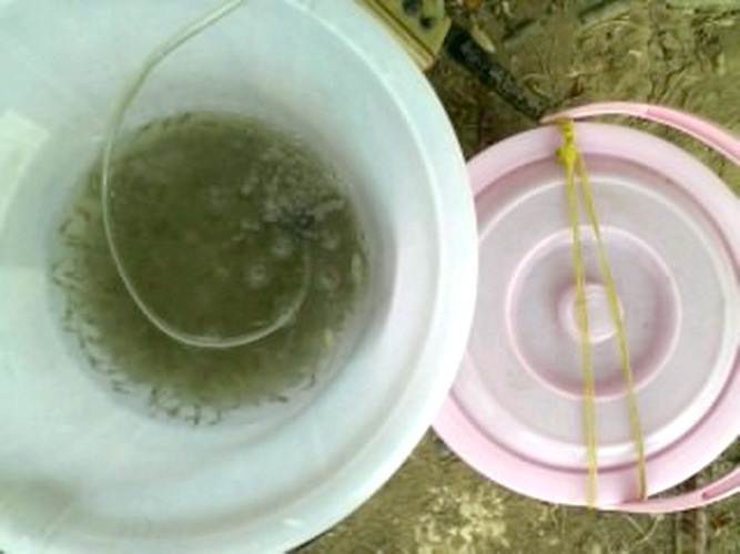 18-5-2556 ส่งผลงานหลังจากไปอ่อยเหยื่อที่หมายเจ้าประจำมาคับ