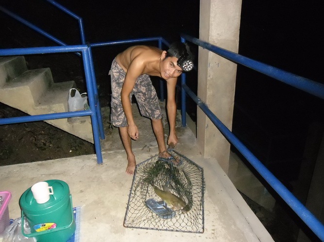 18-5-2556 ส่งผลงานหลังจากไปอ่อยเหยื่อที่หมายเจ้าประจำมาคับ