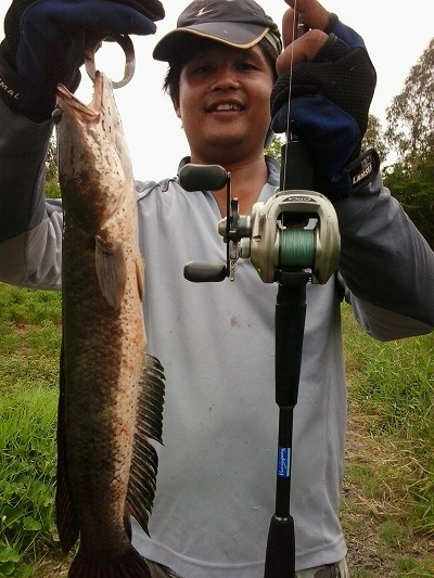 ช่อน  สัญจร  5