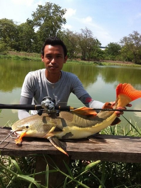 รวมๆ The Monster @บึงปลาบึก เสนาครับ