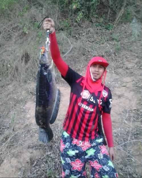 ชะโดวันหยุด By Kok fishing 