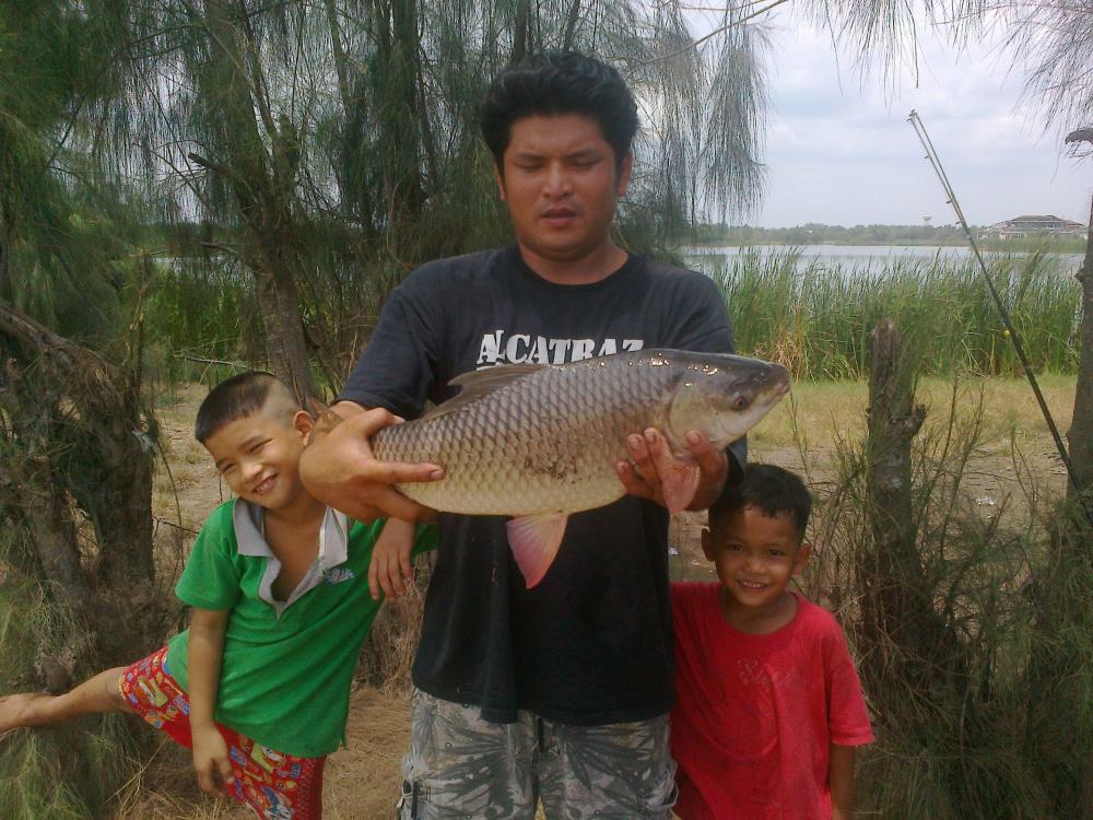สูตรเหยื่อครับ