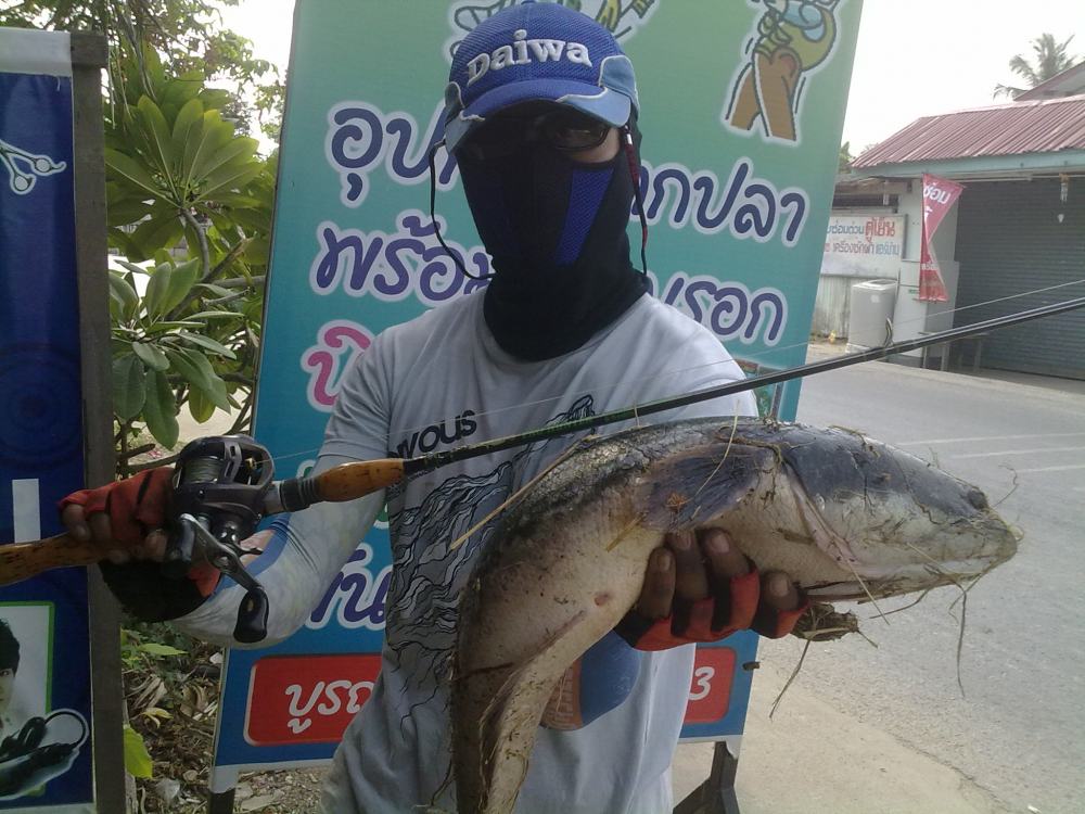 เช้าๆกับน้องโด