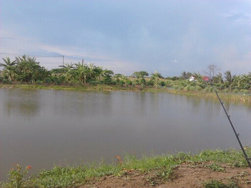พอหายคัน ( หลังจากหายไปนาน )