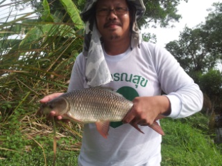 ของดีท้ายบ่อ บึงบึก วัชรพล