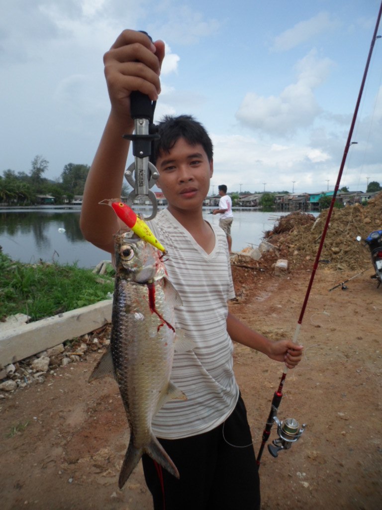 Rapala Skitter Pop 9cm