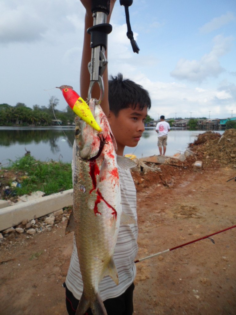 Rapala Skitter Pop 9cm