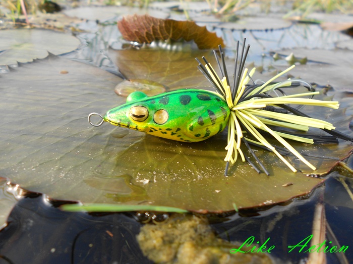 Like Action Frogs เอาเทส