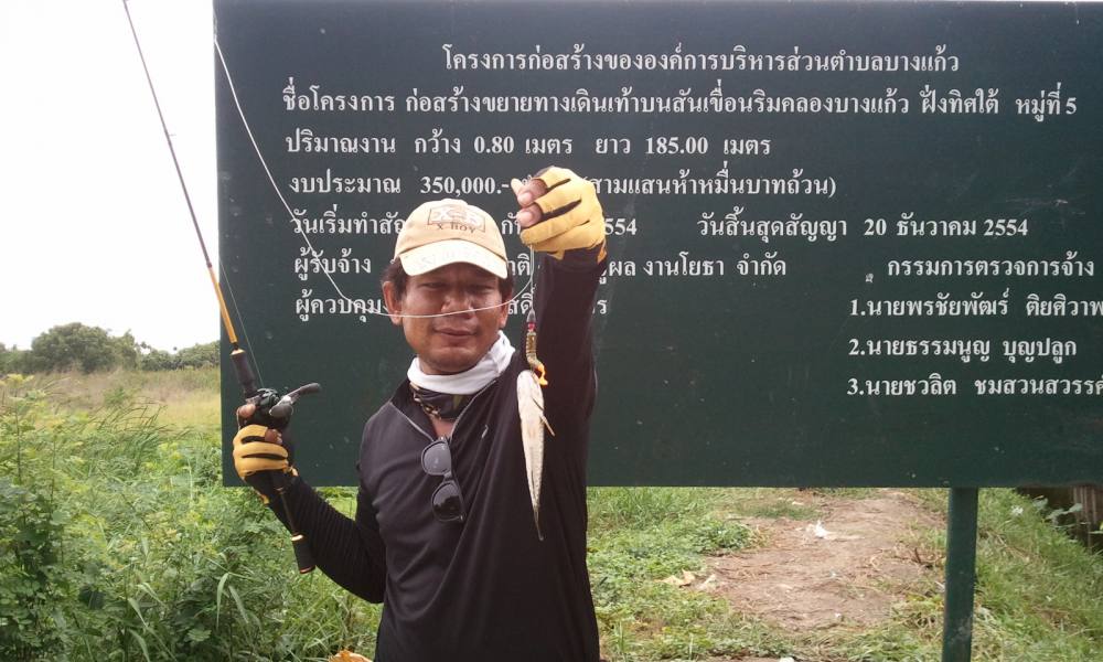 ปลาคลองลองดู