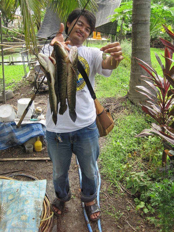 ช่อน!!ตกที่ไหนก็ได้ถ้ามีตัว55+