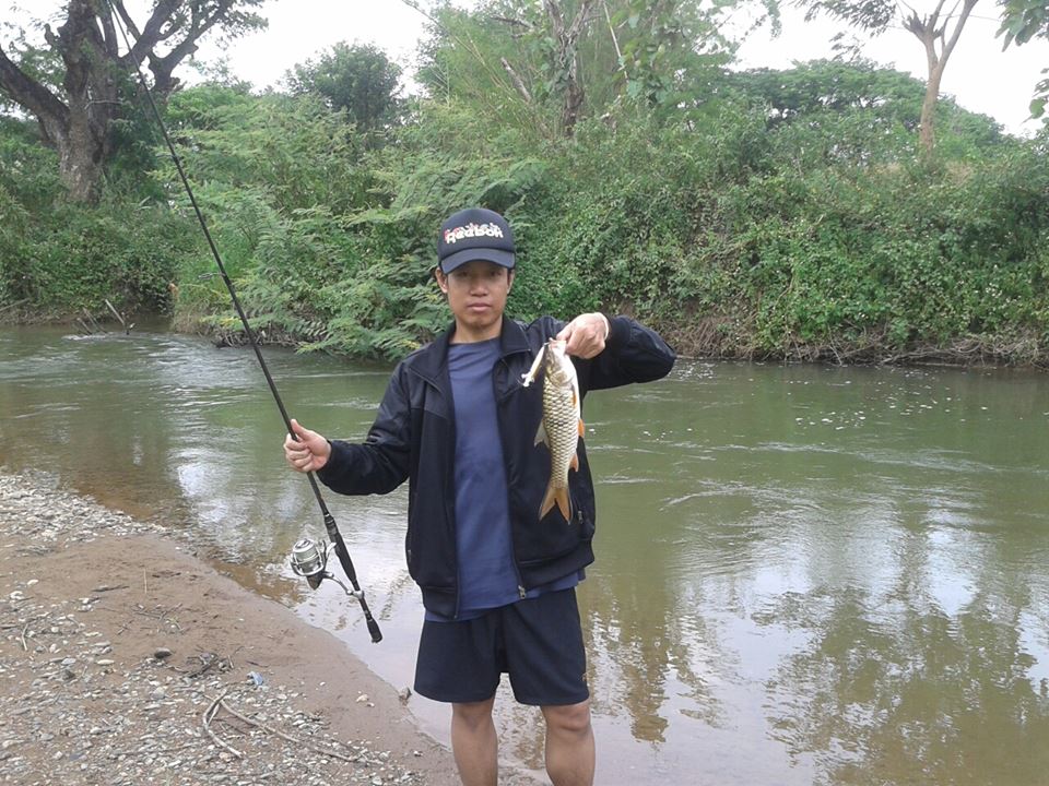 เอากระสูบลำปางมาฝากครับ