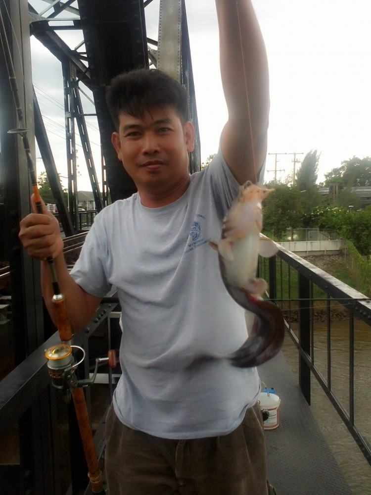 บนสะพานมีดุกทะเลด้วยแฮะ !!!