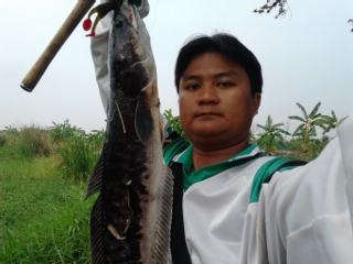 เช้านี้ที่ หนองงูเห่า