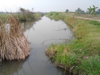 เช้านี้ที่ หนองงูเห่า