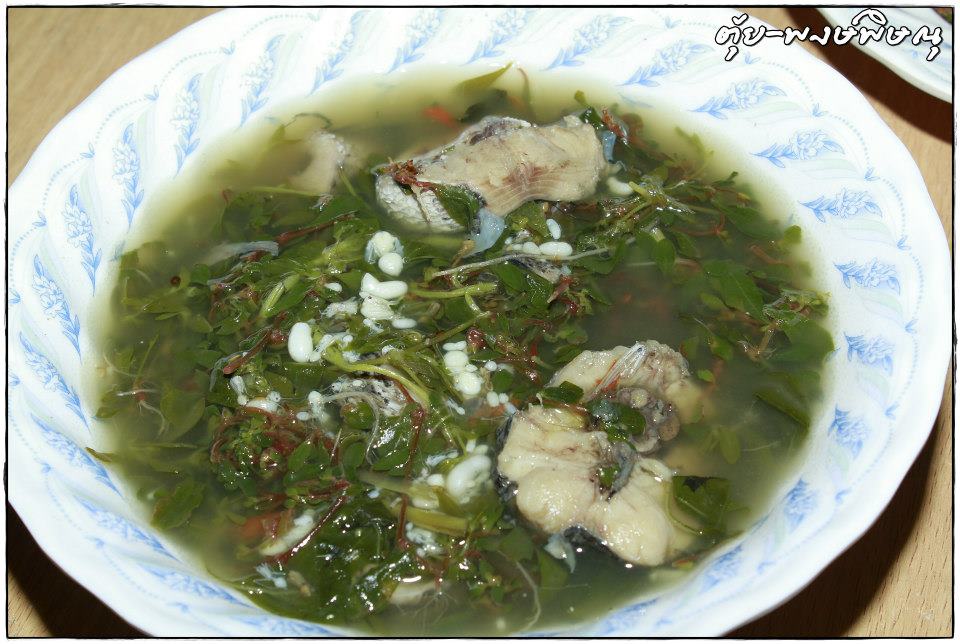 ก้อยไข่มดแดง