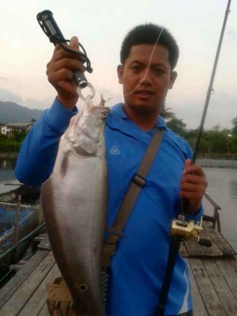 ปลากรายกัดเต็ม  (ภูเก็ต)