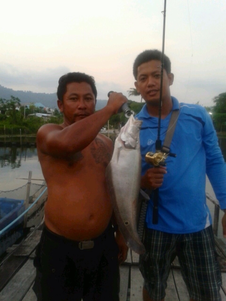 ปลากรายกัดเต็ม  (ภูเก็ต)