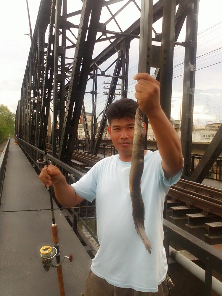 กระทิงบนสะพาน