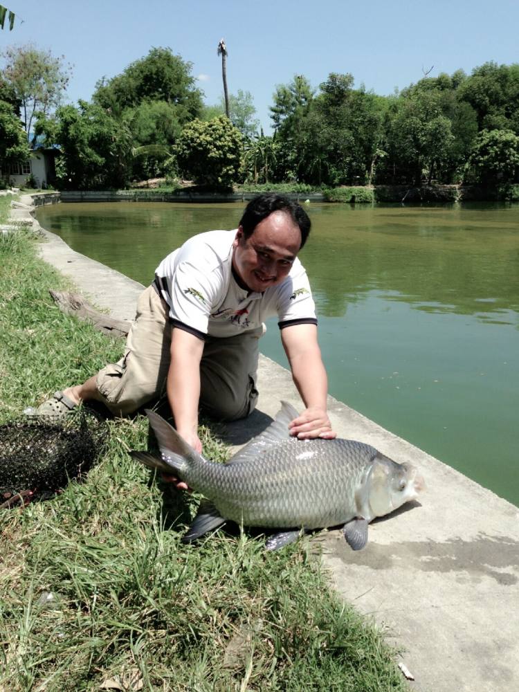 ซิวๆ สปิวทร่ ช.ช้าง