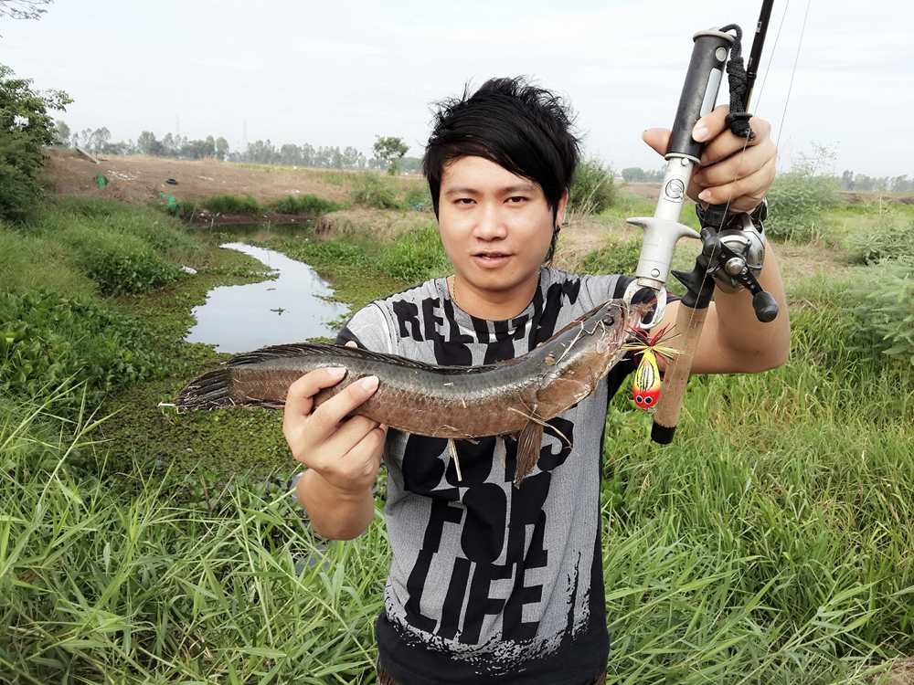 ### Review ระเบิดเปิดซิง "กบเสเพล" By Sanniez ###