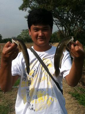 ต่ออีกหน่อย