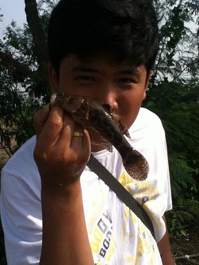ต่ออีกหน่อย
