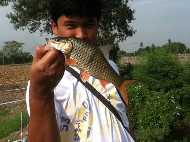 ต่ออีกหน่อย