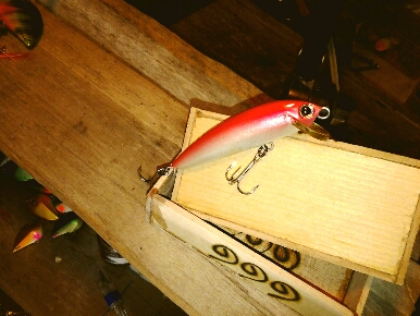 Minnow707S ตองหนึ่งว่ายน้ำเล่นๆ ครับ