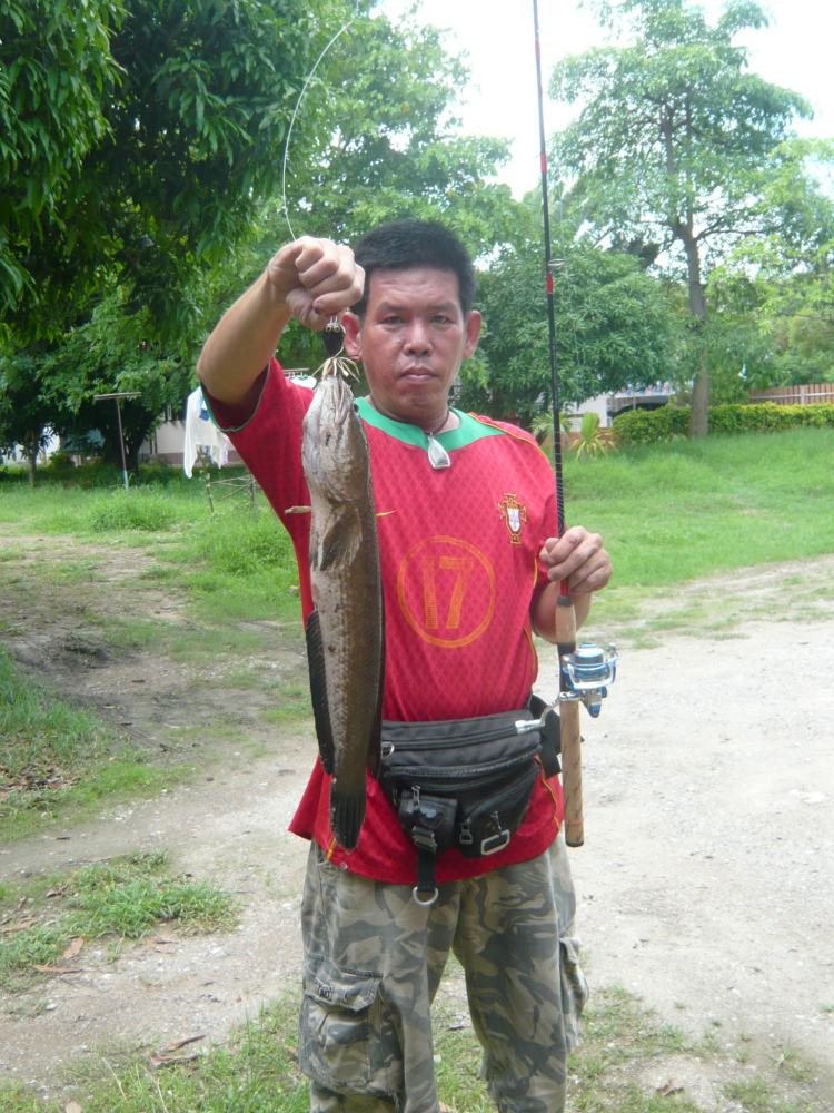 มันมากับฝน 2