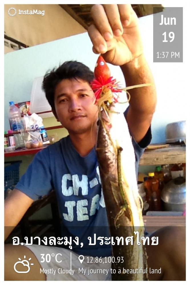 วันละตัวพอ