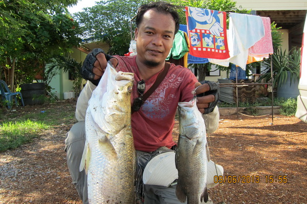 บ่อน้องพลอย 1 วันที่ 9/6/56