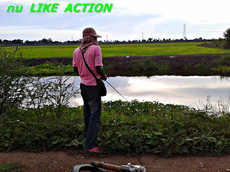 กบ  Like Action  ได้มันส์ตลอด