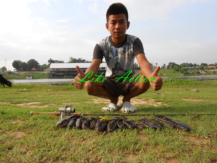 ฟ้าหลังฝนกับ กบ Like Action by นัท