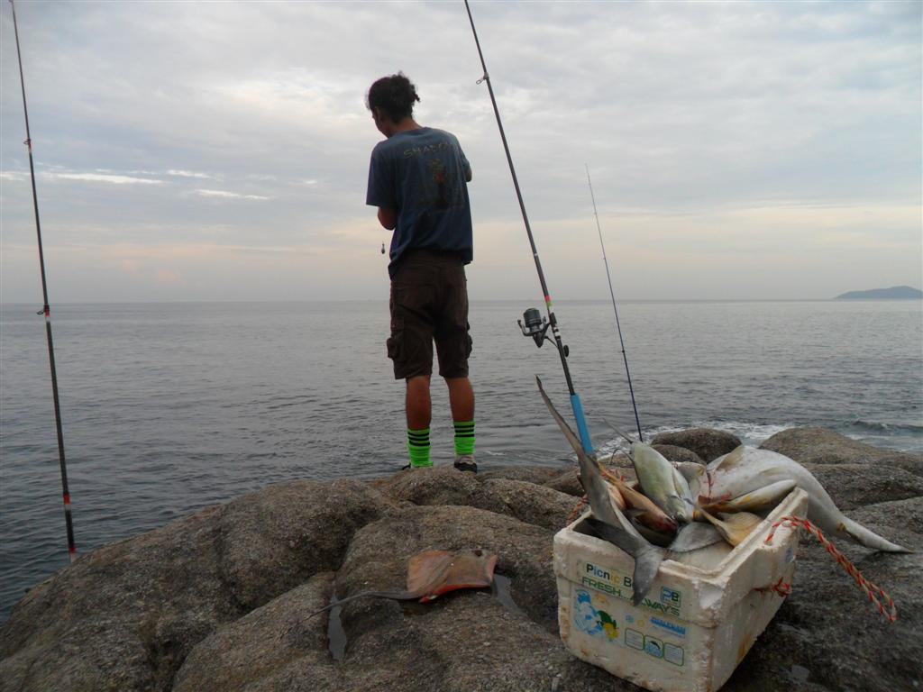 Tips For Rock Fishing 