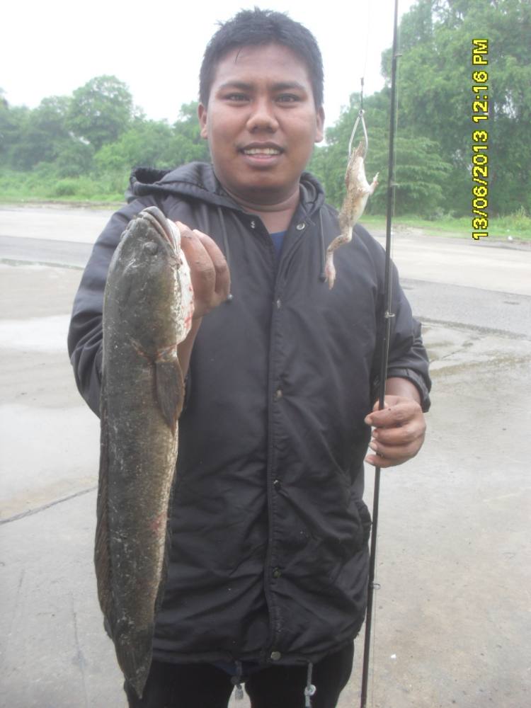  วิชาลับ ของโปรต้น AY