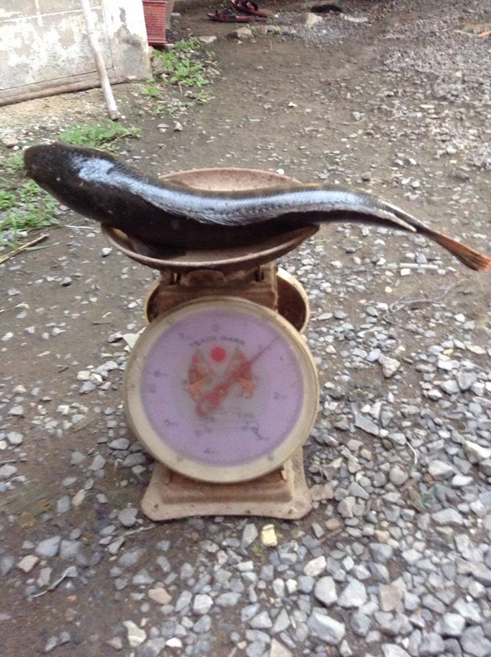 อ่างซับเหล็ก  ลพบุรี