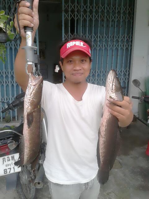 กบ&หนูจี๊ด by ลุงกะป้าจร้า