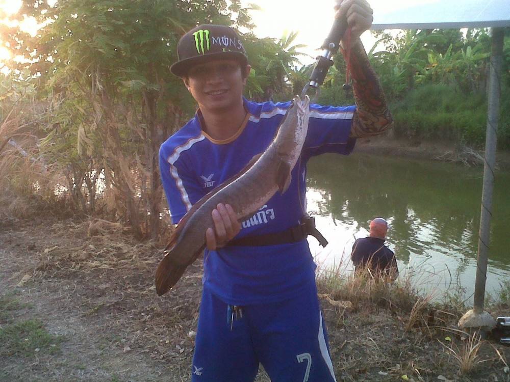 ช่อน โต โต โดนได้อีก..