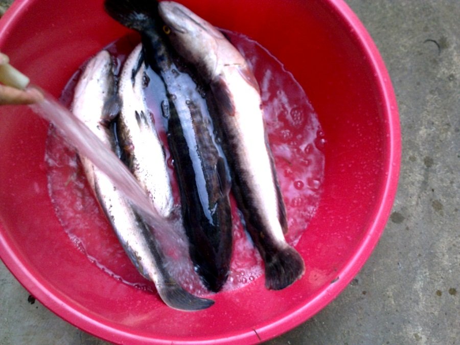 @ แว้นคนเดียว เหงา ๆ แต่มัน  @