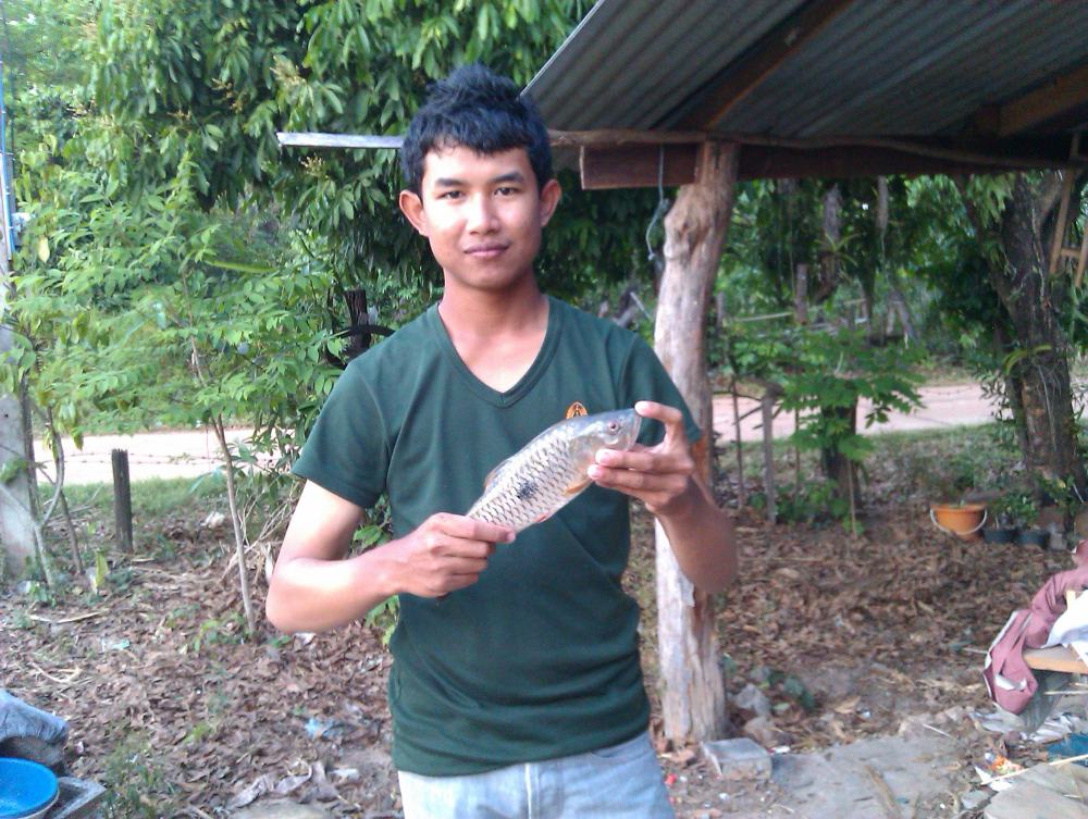 กระสูบจุดครับ