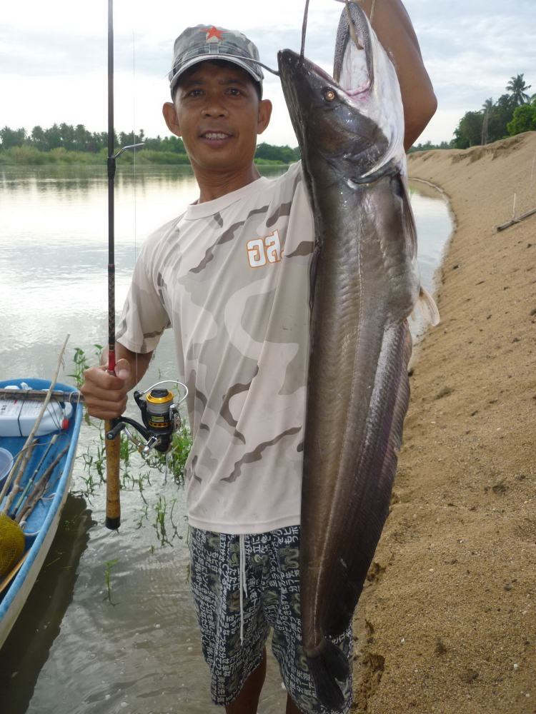 ปลาบรรพต  ภาค 4