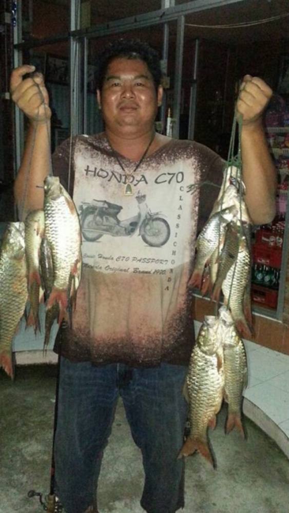 ครึ่งวันที่ท่าด่าน