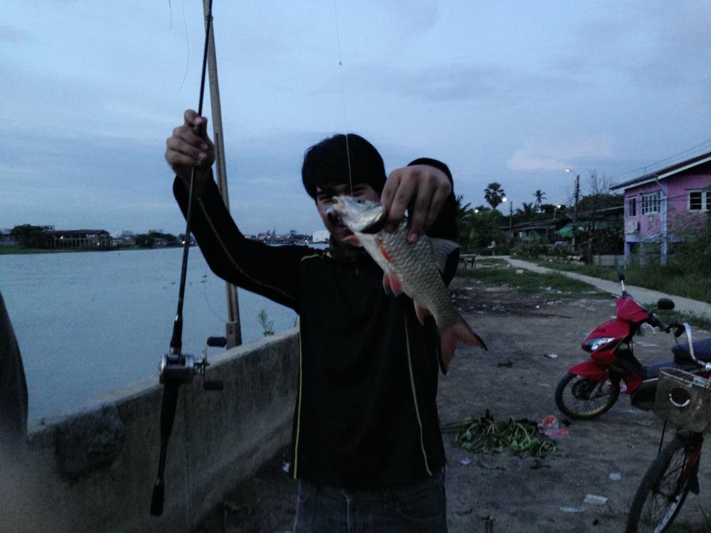 กระสูบซ่า