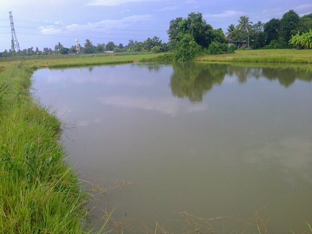 หลังฝนตก ณ.ราชบุรี