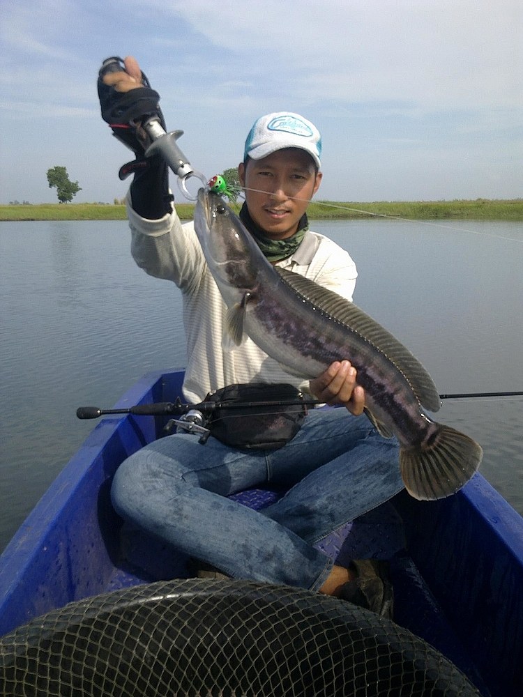 ลองหน่อยคับ