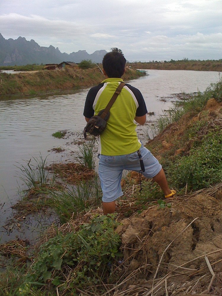 ขอความเห็นด้วยครับ