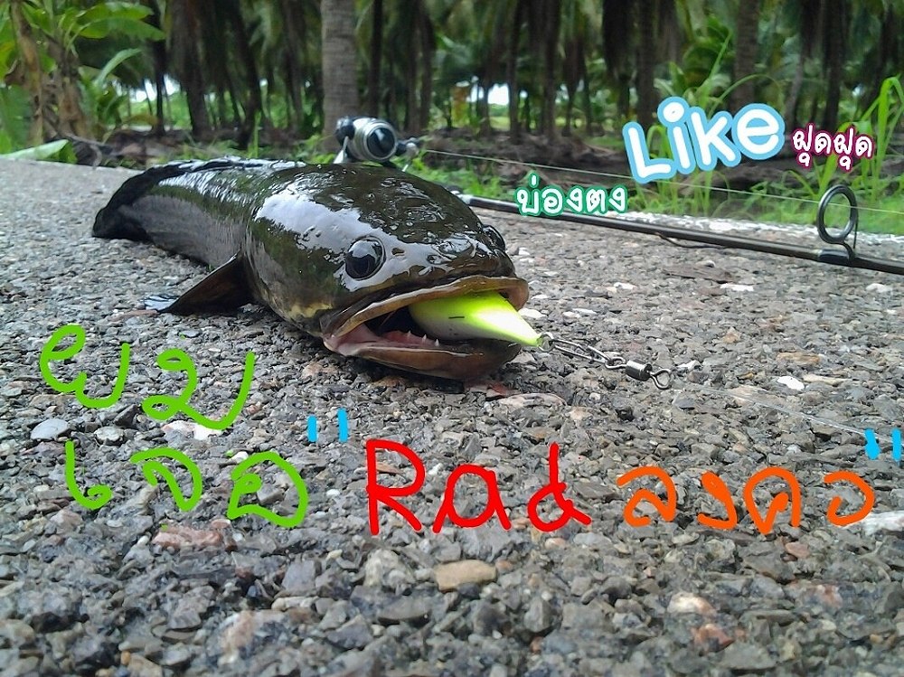 "Rad..ลงคอ" (แรดซะจน ลงไปอยู่ในคอ)