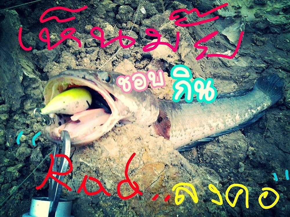 "Rad..ลงคอ" (แรดซะจน ลงไปอยู่ในคอ)
